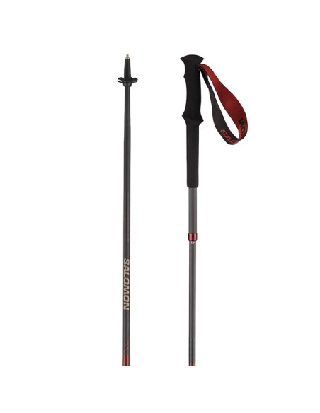 Bastones Salomon Poles Quest Carbon Foldable