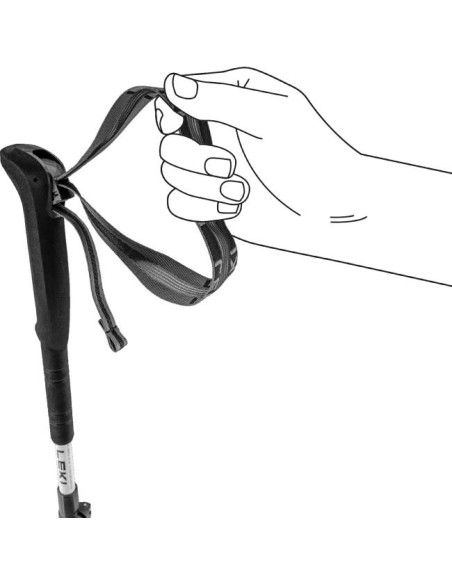 Bastones Leki Skytera FX Carbon SL