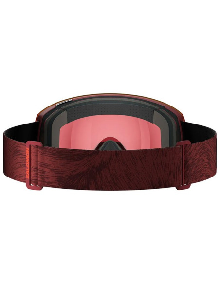 Glasses Salomon RADIUM PRO SIGMAPHOTO MAD/PR