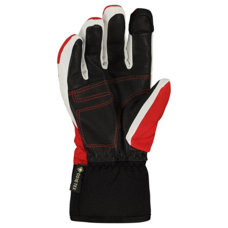 Handschuh Matt SKIFAST GORE-TEX 2