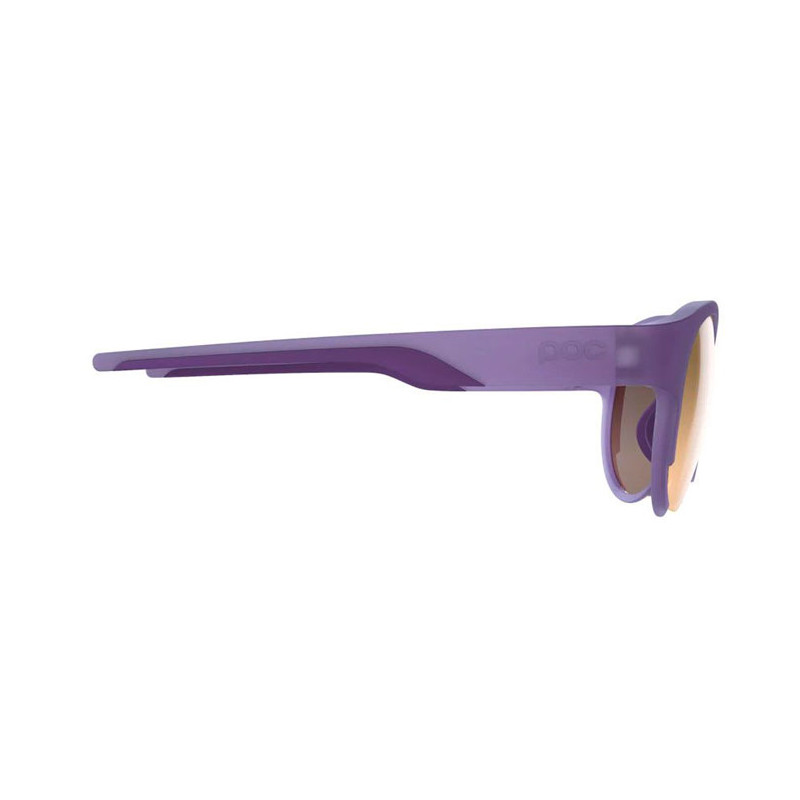 Szemüveg Poc Avail Cat 2