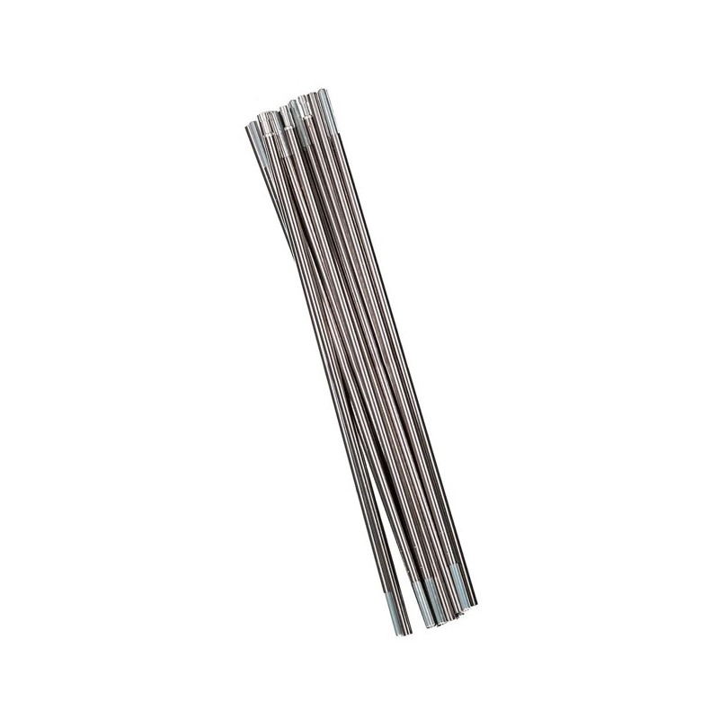 Repuesto Salewa Denali III Pole Set