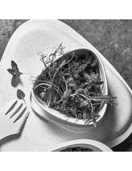 Light My Fire SnapBox Original 2 Pack