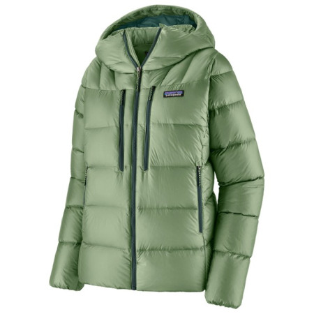 Jacke Patagonia WS FITZ ROY DOWN HOODY Ellwood Green