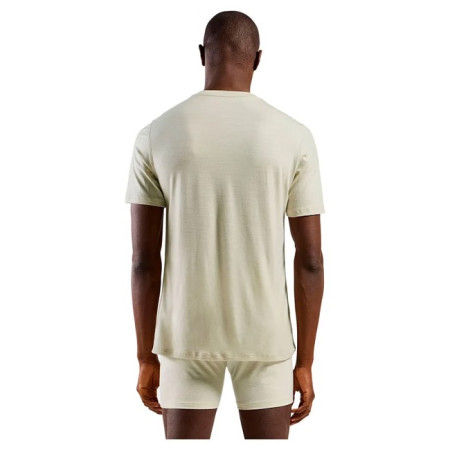 Majica s kratkimi rokavi Odlo BL TOP CREW SS MERINO 160 Agate Gray 2