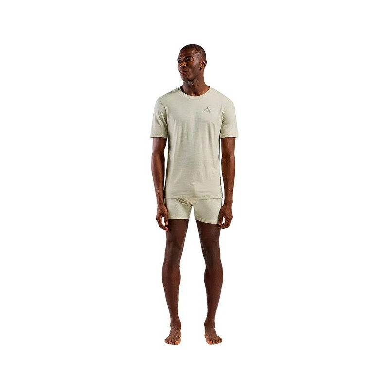 Koszulka Odlo BL TOP CREW SS MERINO 160 Agate Gray