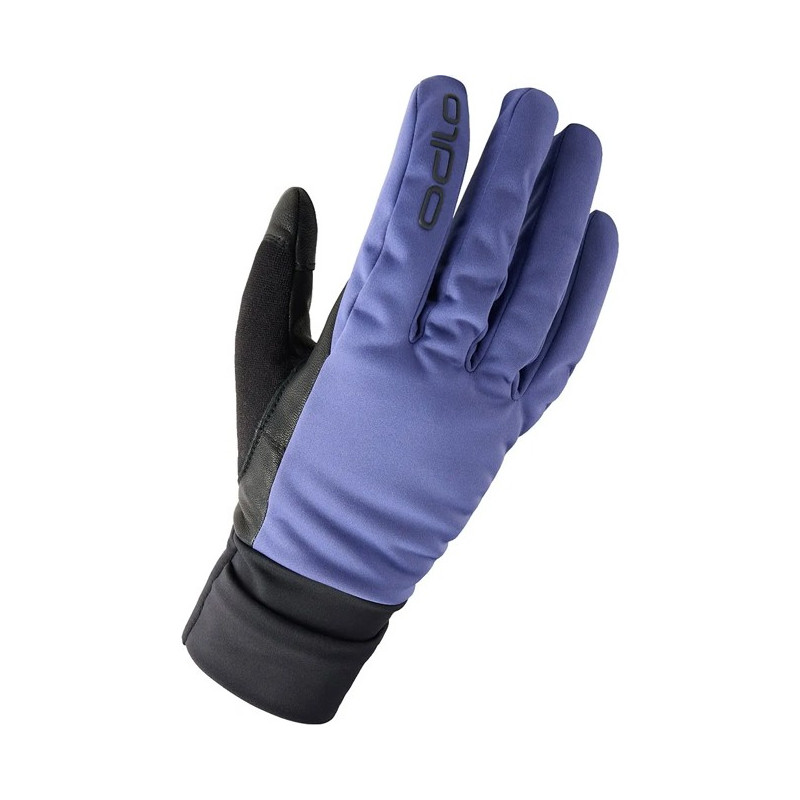 Handschuh Odlo FULL FINGER MULTISPORT WARM Skipp