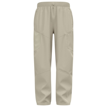 Hosen Odlo REG ESSENTIAL CARGO Agate Gra