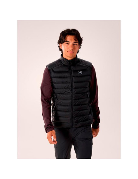 Arc'teryx Cerium Vest