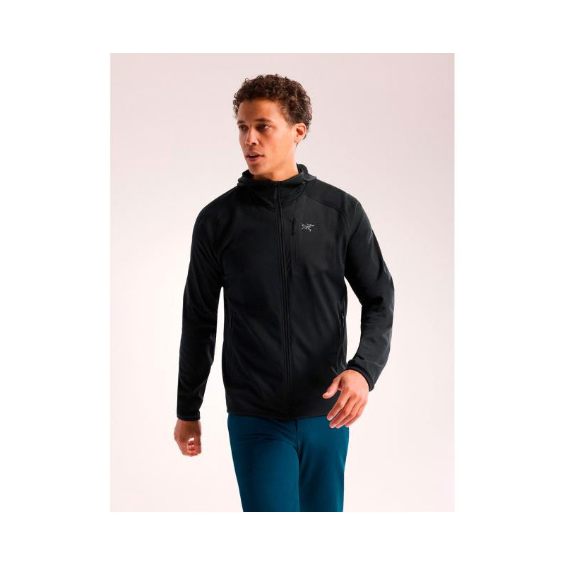 Arc'teryx Delta Hoody