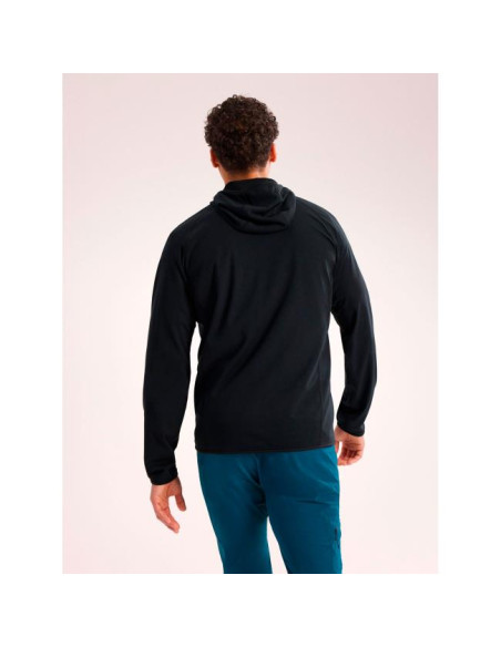 Arc'teryx Delta Hoody