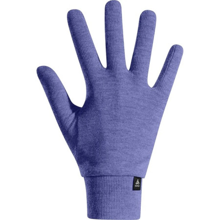 Gloves Odlo FULL FINGER ACT WARM Skipper Blue
