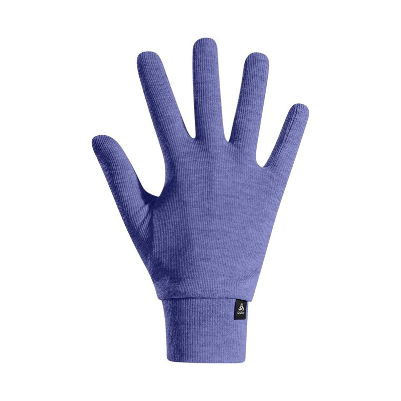 Handschoenen Odlo FULL FINGER ACT WARM Skipper Blue