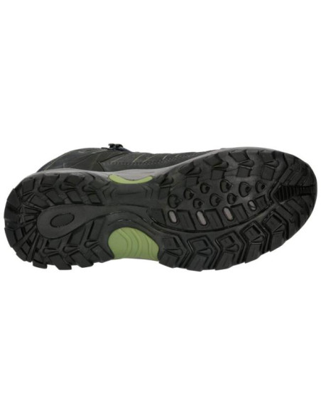 Brütting Mount Pinos