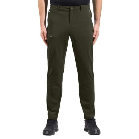 Pants Odlo REG ASCENT LIGHT Forest Night