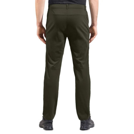 Pants Odlo REG ASCENT LIGHT Forest Night 2