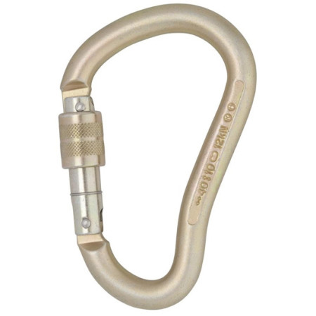 Dmm 12 mm Steel Boa HMS Screwgate