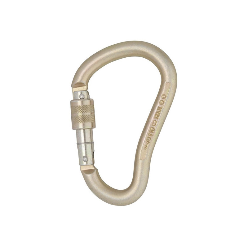 Dmm 12 mm Steel Boa HMS Screwgate