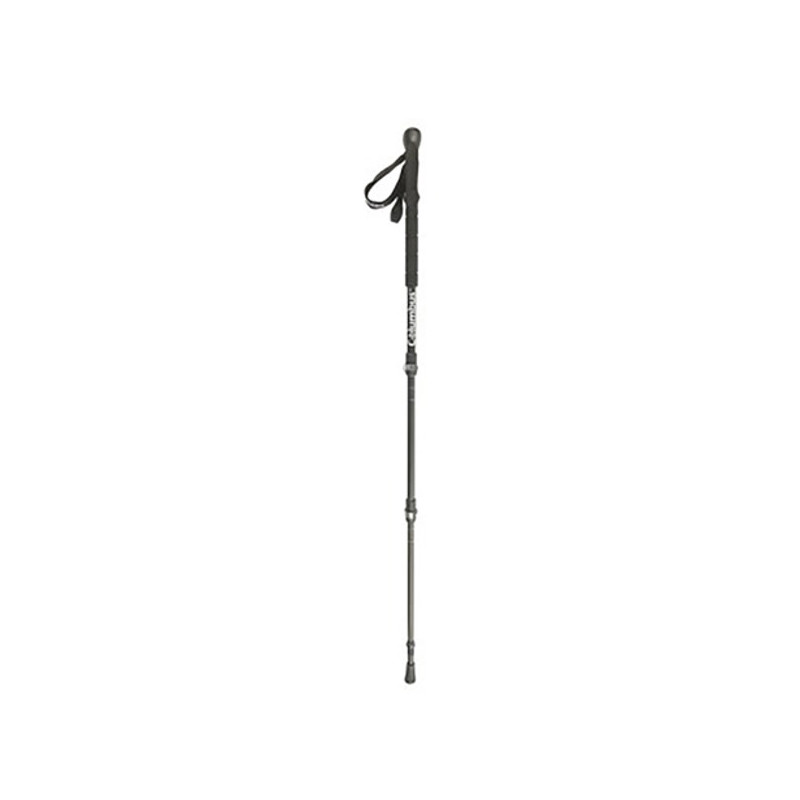 Pole Columbus CB6 CARBON