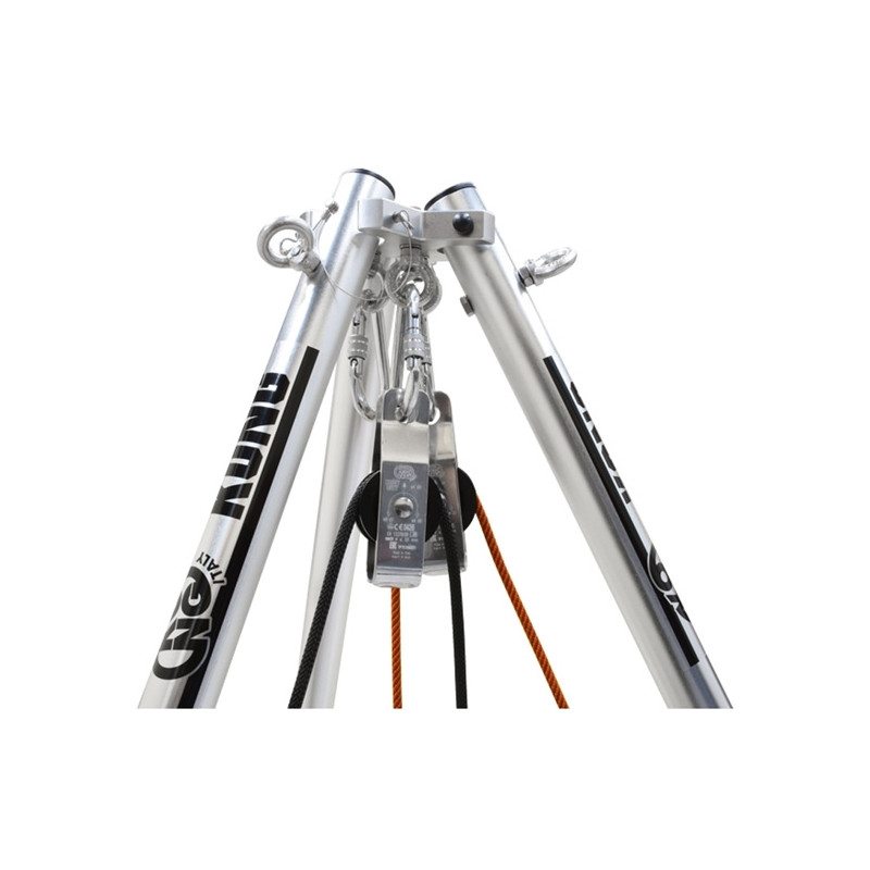 Kong Cevedale (2 cabestrantes)