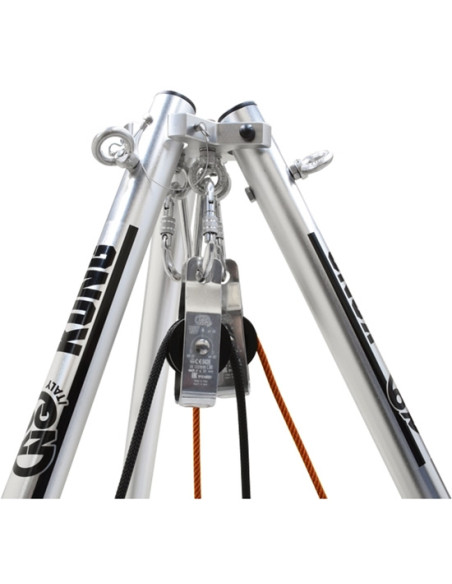 Kong Cevedale (2 cabestrantes)