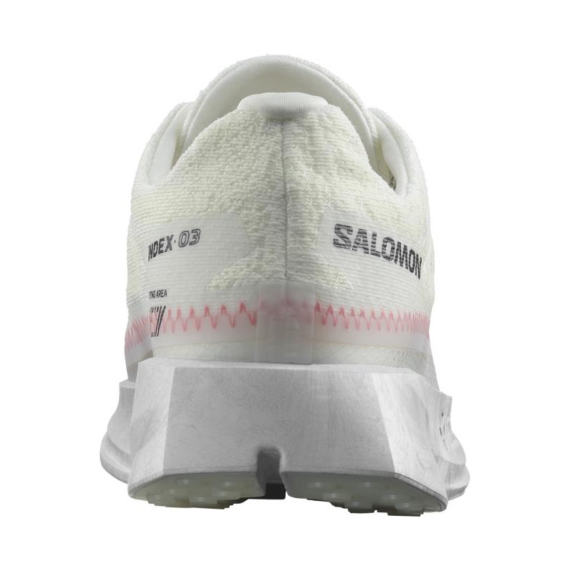 Salomon Index 03