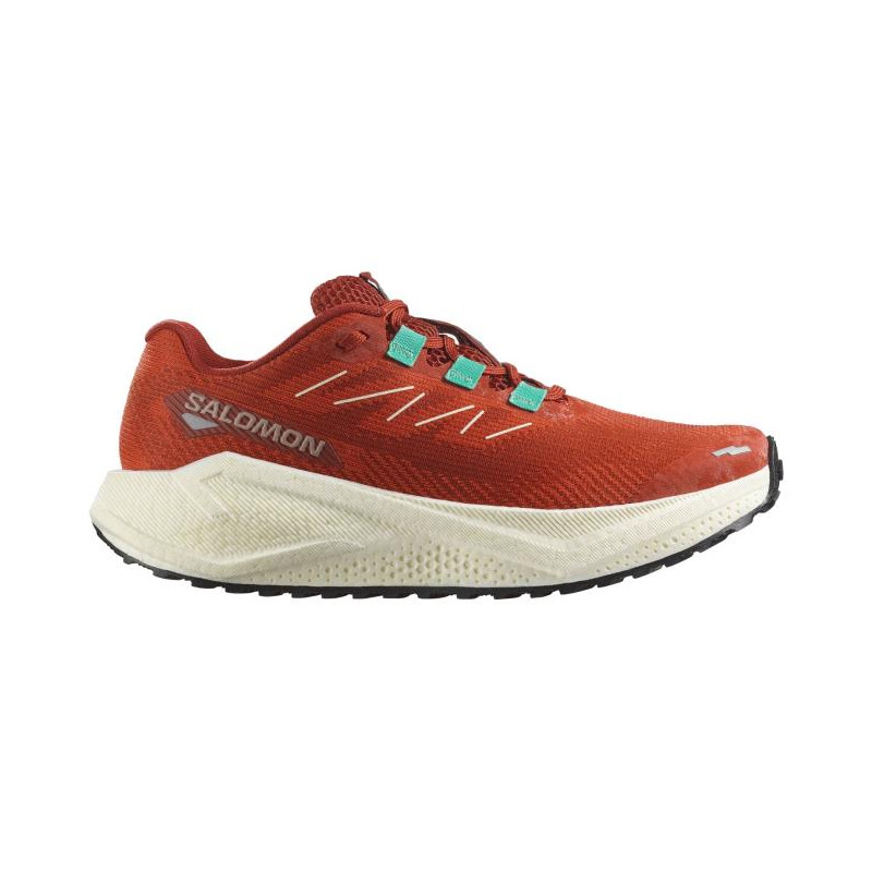 Wanderschuhe Salomon Blaze 3 GRVL