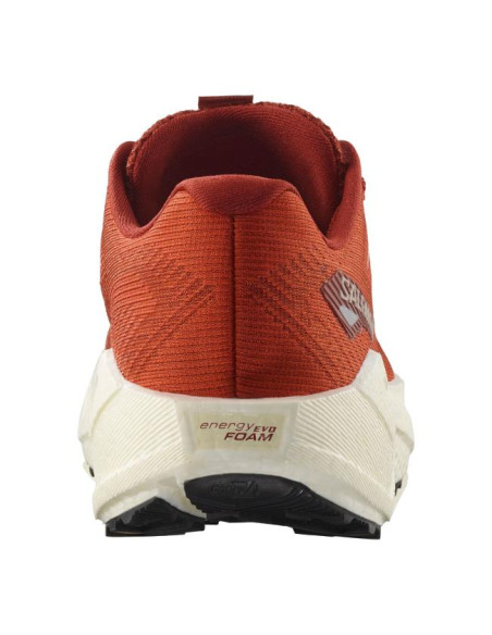 Tenisky Salomon Blaze 3 GRVL