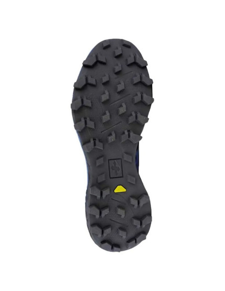 Wanderschuhe Raidlight DYNAMIC 2.0 Purple