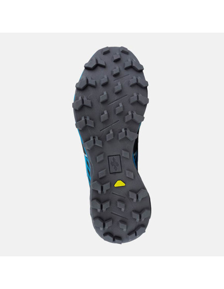 Vandresko Raidlight DYNAMIC 2.0 Blue