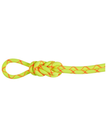 Seil Mammut 9.5 ALPINE CORE PROTECT DRY 70M Hal/ViOr