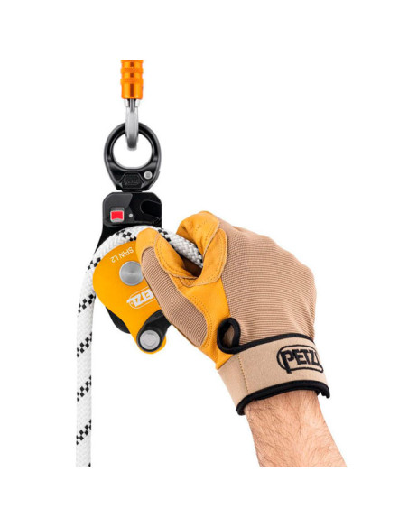 Petzl Spin L2