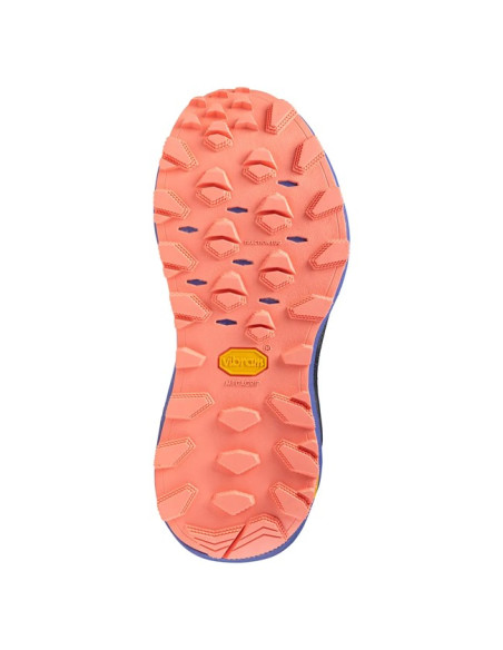 Vandringsskor Mizuno MUJIN 11 WS Blue Granite/Silver/St