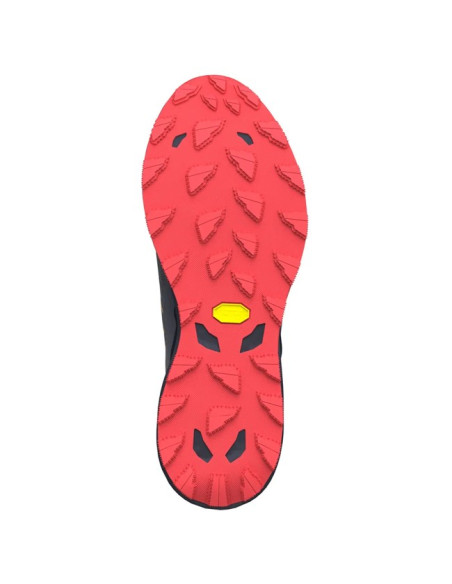 Buty trekkingowe Mizuno DAICHI 9