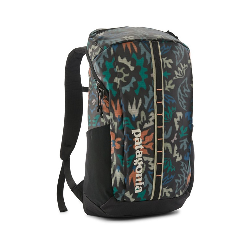 Back Pack Patagonia BLACK HOLE PACK 25L Kaleido: Black