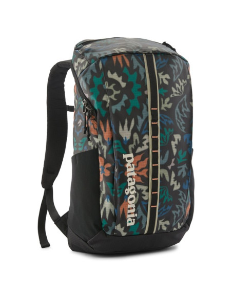 Back Pack Patagonia BLACK HOLE PACK 25L Kaleido: Black