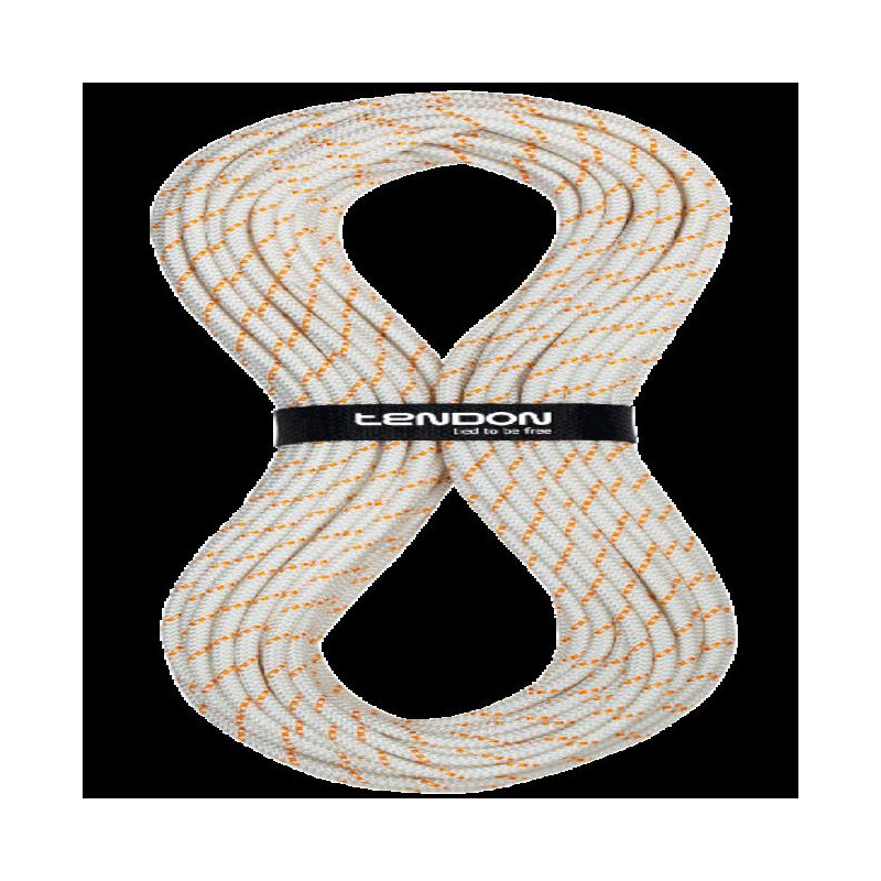 Tendon SPELEO 10 Standard blanco 200m