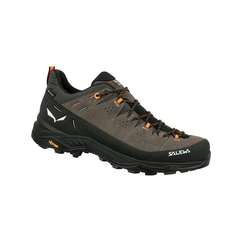 Cipők Salewa ALP TRAINER 2 GTX M Bungee Cord/Black