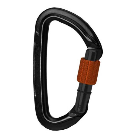 Carabiner Wild Country SESSION SCREW GATE Black