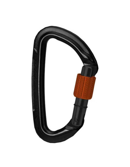 Karabinek Wild Country SESSION SCREW GATE Black