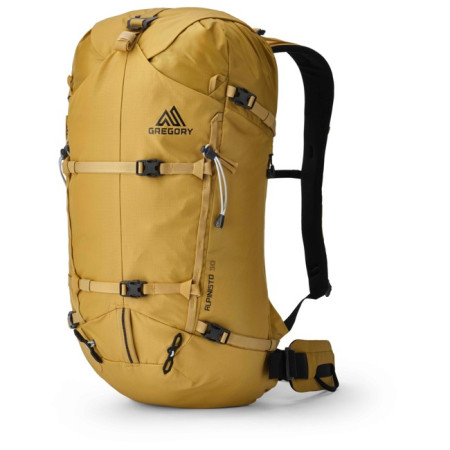 Back Pack Gregory ALPINISTO 30 MD/LG Alpineglow