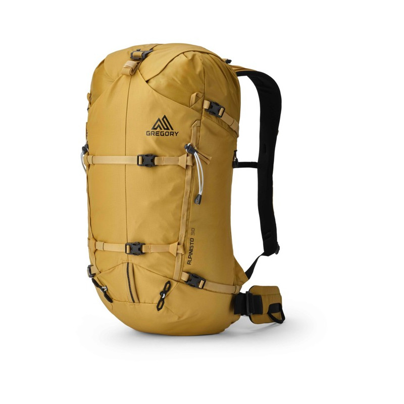 Back Pack Gregory ALPINISTO 30 MD/LG Alpineglow
