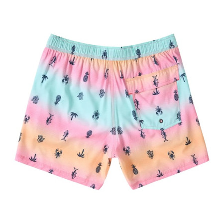 Briefs til Mænd Saxx 2N1 VOLLEY 5" 2