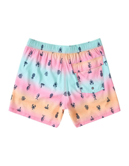 Men’s Briefs Saxx 2N1 VOLLEY 5"