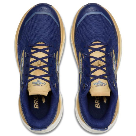 Zapatillas Brooks Cascadia 19 2