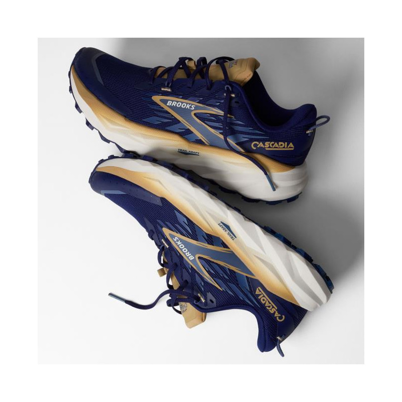 Zapatillas Brooks Cascadia 19