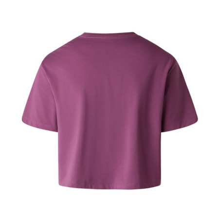 The North Face W EVOL SIMPLE DOME CROP RLX SS TEE Chrom 2