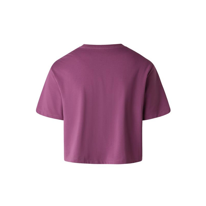 The North Face W EVOL SIMPLE DOME CROP RLX SS TEE Chrom