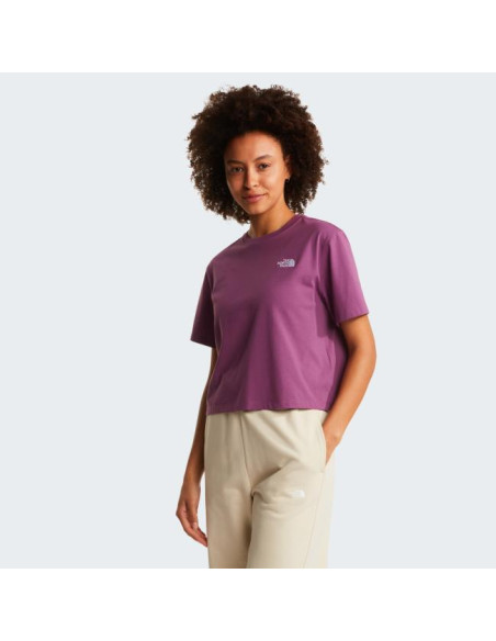 The North Face W EVOL SIMPLE DOME CROP RLX SS TEE Chrom