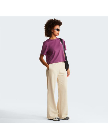 The North Face W EVOL SIMPLE DOME CROP RLX SS TEE Chrom